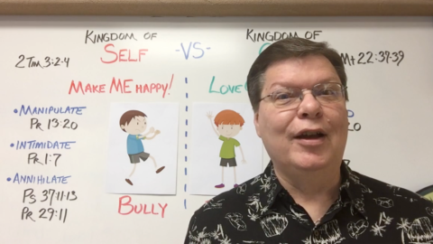 Kingdoms: Bully or Buddy